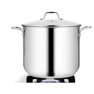 Nutrichef 19-qt Induction Pot With Lid