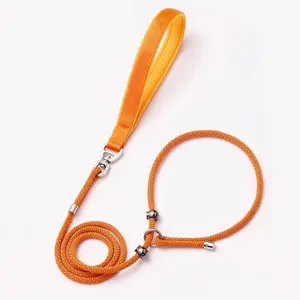 Two-In-One Slide-On Dog Collar Training Leash and Collar, High Strength Durable Waterproof Rope, Anti-Pull Training for Small Medium Large Dogs