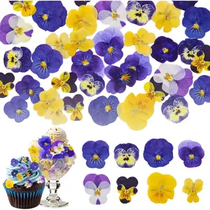 40PCS Natural Dried Edible Flowers – 8 Varieties Mixed Pressed Viola for Cake Toppers, Cupcakes, Cocktails, Resin Crafts & Jewelry Making