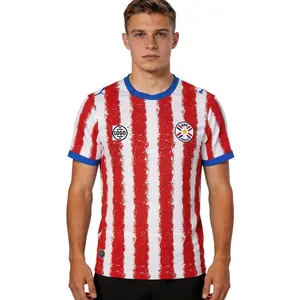 Personalized Paraguay Soccer Jersey Full Set World Cup 2026, Custom Name Number Logo National Soccer Jersey Y