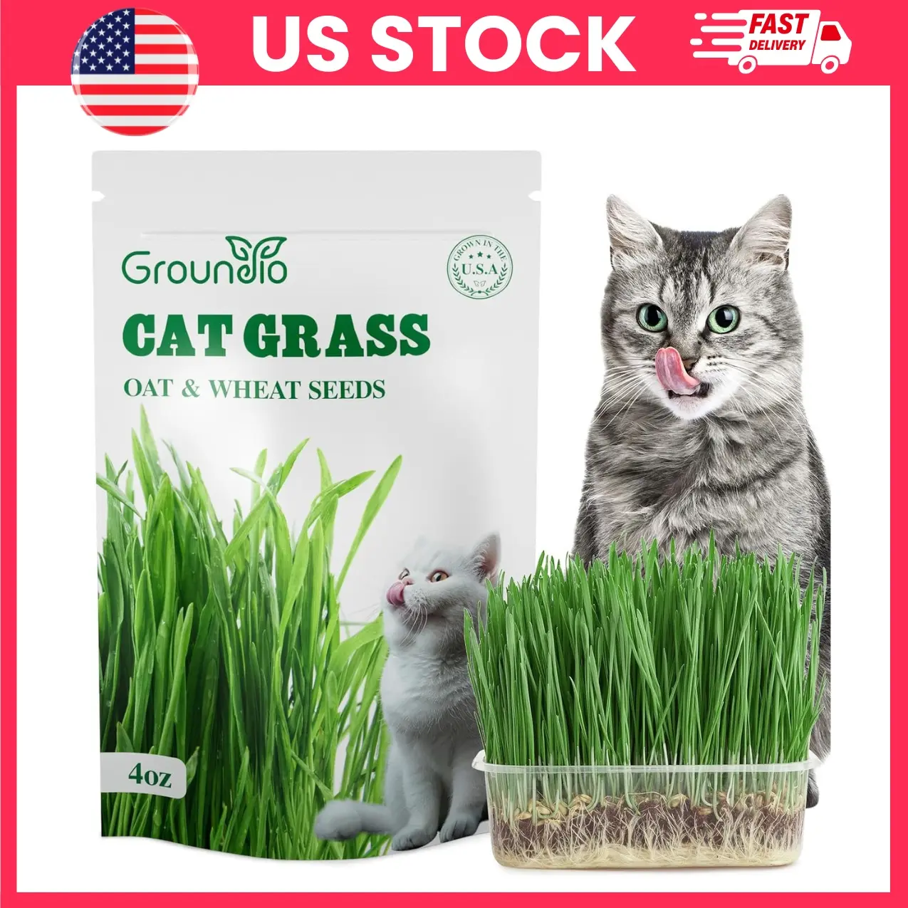 Cat Grass Seeds, Wheat & Oat Seed Mix for Indoor Cats, Non GMO Heirloom Pet Grass Seeds with High Germination Rate, Fast Growing Cat Grass Kit for Digestion Hairball Relief & Oral Health, Indoor Pet Garden Seeds for Cats Dogs Rabbits, Pet Supplies