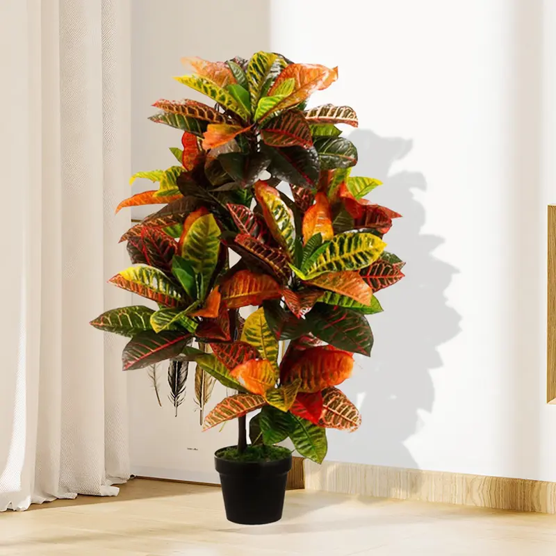 dragon tree indoor plant Buy Dracaena Marginata (Dragon Tree) 1.0 - 1.2m