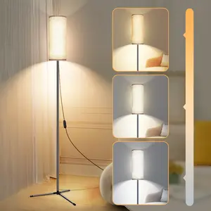 1pc Modern Minimalist LED Floor Lamp Modern Standing Light 60-Inch Dimmable Ambient Lighting for Living Room, Bedroom, Office - 3000K-6500K, USB Powered (No Adapter Included) - Durable Iron Construction with Elegant Design, Highquality Lighting