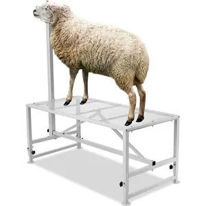 Father's Day Gift VEVOR Goat Milking Stand - Deluxe Adjustable 51x23 inch Premier Metal Livestock Stand, Durable Headpiece and Nose Loop, Height Adjustable 21" to 33", Ideal for Horned Farm Animals, White