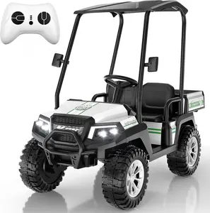 ANPABO Kids Golf Cart w/Detachable Awning – 4WD 2-Seater Ride-On Car with Large Storage Trunk, Remote Control, 3 Speeds, Music Player, LED Lights – #Summervibes