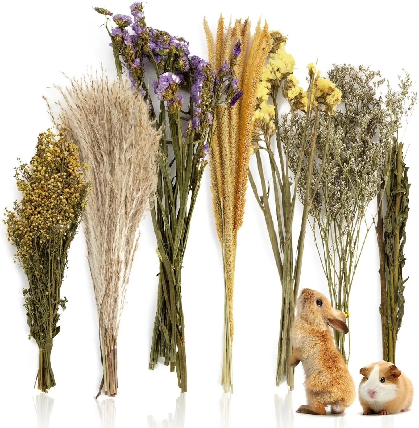 Sukh 47 Pcs Hamster Sprays - Natural Dried Flower and Herb Forage Mix | Sprays for Hamster Cage Accessories, Habitat Decor & Enrichment for Syrian Dwarf Hamsters, Gerbils, Guinea Pigs, Small Pets