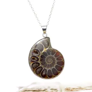 Nautilus Shell Fossil Necklace
