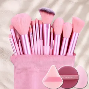 16-piece pink makeup brush set, including a sponge, eyeshadow brush, foundation brush, BB cream brush, and concealer brush. Women's Complete Soft Makeup Tool Set