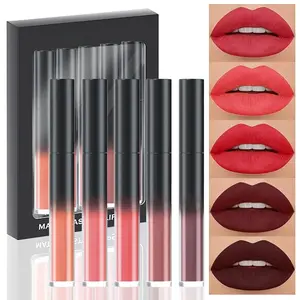 Matte Plum Liquid Lipstick 5Pcs Sets,24-hour Lipstick Dark Deep Red Plum Red Lip Stain 24 Smudge Waterproof for Women