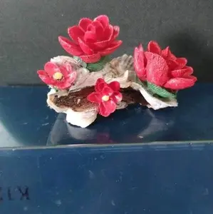 Handmade Seashell Art