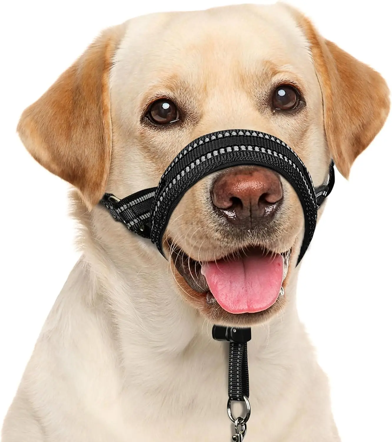 Soft Dog Head Collar - Patented Padded No-Pull Halter with Quick Release Buckle, Reflective Straps, Safety Link, Adjustable Muzzle & Easy Walking Control for Medium-Large Dogs (Black, M)
