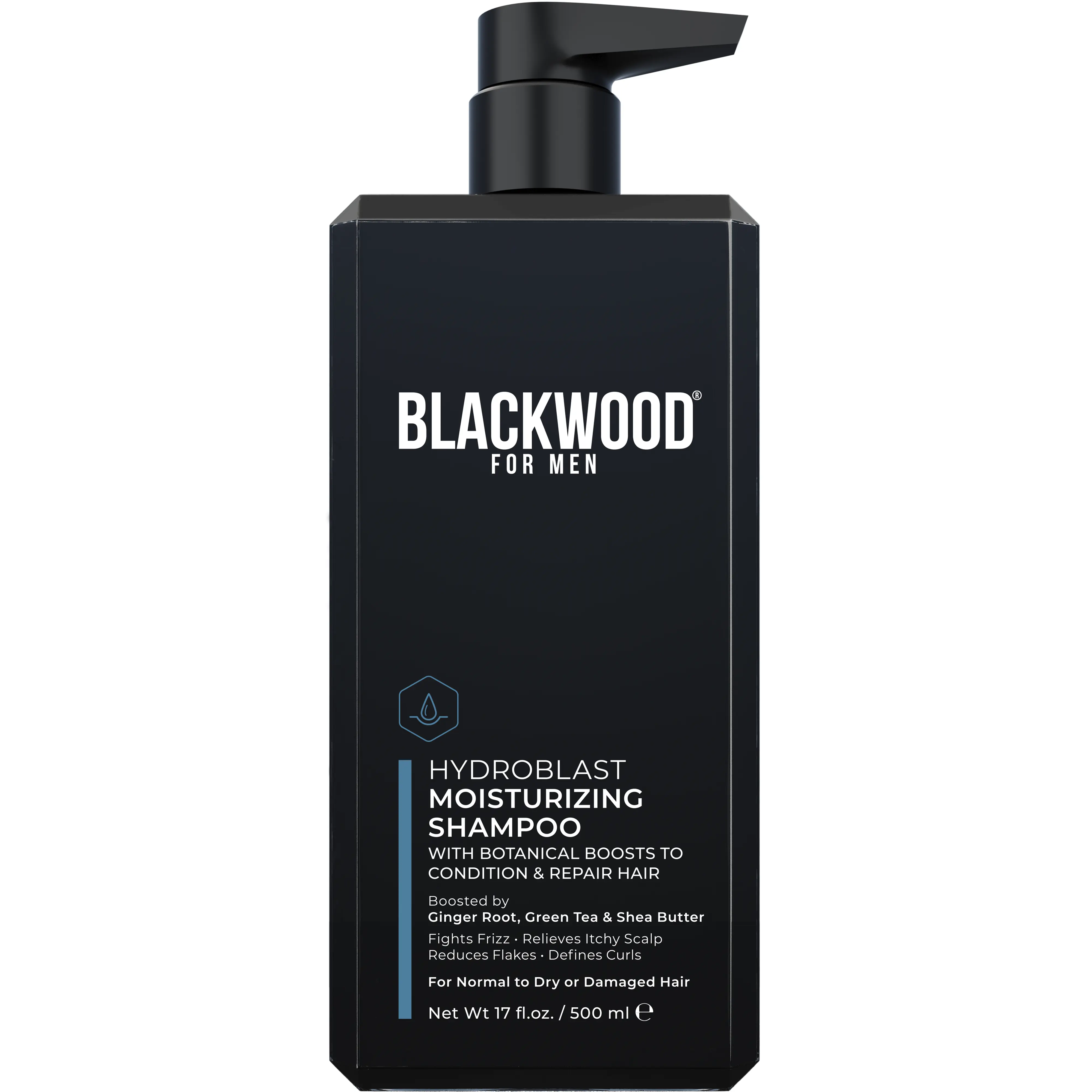 Blackwood For Men HydroBlast Moisturizing Shampoo | Natural Sulfate-Free Hair Care & Silky Smoothing Repair | For Normal to Coarse, Dry or Curly Hair