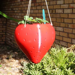 Large Hanging Strawberry Planter