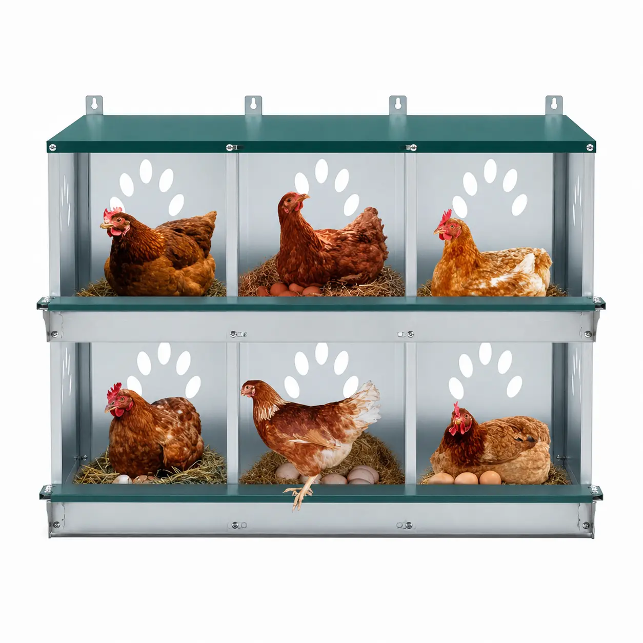 6-Room Metal Chicken Nesting Box for Backyard Hens, 32.09 x 16.34 x 26.38 Inches Large-Capacity Durable Poultry Coop Accessory with All Screws and Nuts, Comfortable and Spacious