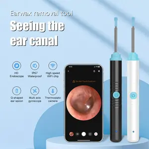Portable earwax removal tool set with camera, C-type charging, waterproof endoscope ear cleaning tool, winter gift set, New Year gift