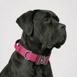 Heavy Duty Tactical Dog Collar for Cane Corso Mastiff Strong Pullers No Pull K9 Military Training Gear with Quick Release Metal Buckle Control Handle Adjustable Thick Webbing for Large Giant Dogs