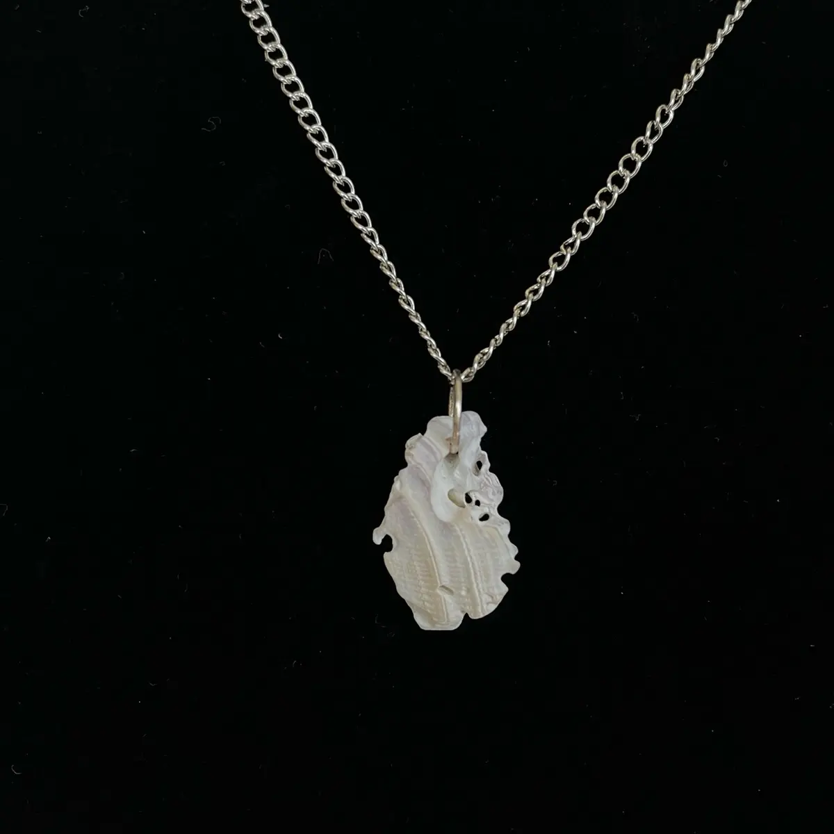 Broken sea shell necklace
