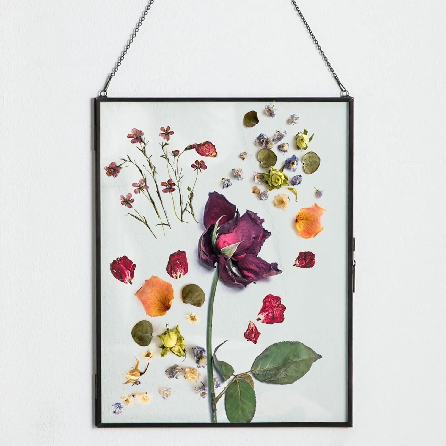 Kendiis Double Glass Frame - Black 10.8x14 Hanging Display