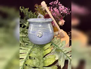 Dragonfly Honey pot jar with wood dabber .
