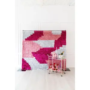 Sugar Plum Fringe Backdrop