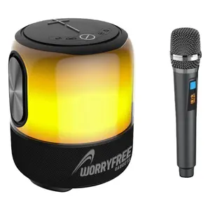 WorryFree Gadgets 60W Portable Party Speakerwith Microphone