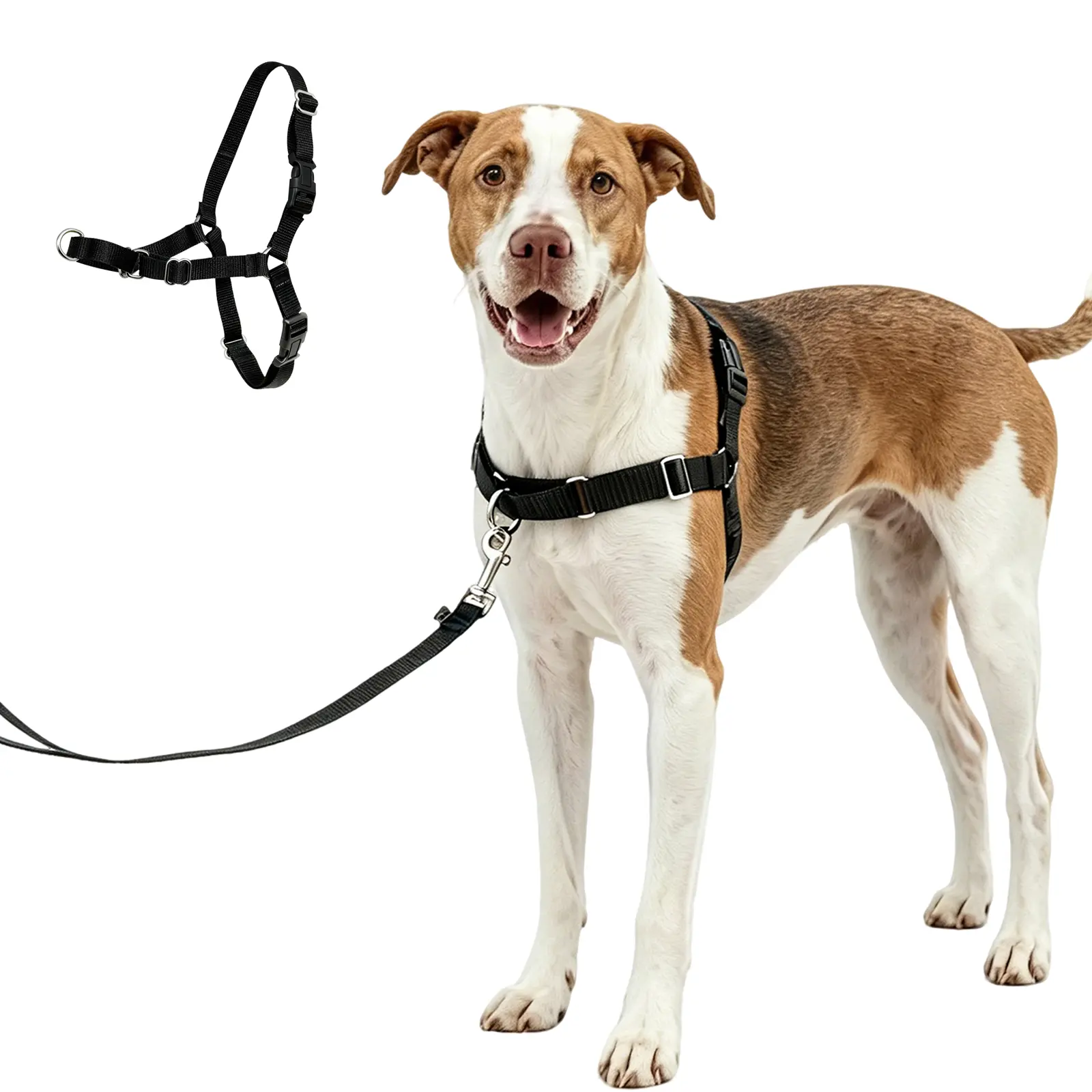 【Furlyn】No-Pull Dog Harness Medium Size -  Dog Friendly Co. Harness - Easy to Fit No-Pull Design - Safe Secure and Comfortable - Ideal for All Dogs - Chafe-Resistant Lightweight Straps - Adjustable Straps for Perfect Fit