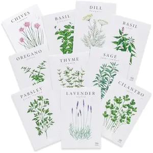 Organic Herb Seeds (10-Pack) – Non GMO, – Seed Starting Video - Basil, Cilantro, Oregano, Thyme, Parsley, Lavender, Chives, Sage, Dill Seeds for Indoor & Outdoor Planting