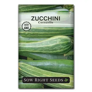 Cocozelle Zucchini