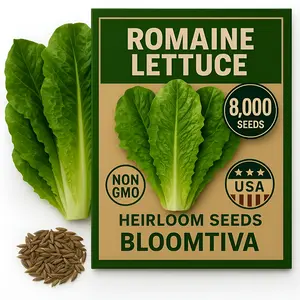 Romaine Lettuce Seeds – Parris Island Cos, 8000+ Heirloom Non-GMO Seeds, High Germination Bulk Pack, Grown in USA – Ideal for Indoor Hydroponic & Outdoor Vegetable Gardens