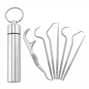 304 Stainless Steel 7-Piece Dental Pick Set, Portable Reusable Tooth Cleaning Tools with Keychain Case, for Deep Plaque & Tartar Removal in Oral Hygiene