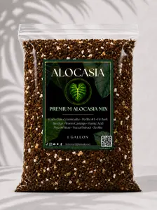 Alocasia Mix — Moisture-Rich, Aerated Soilless Potting Mix