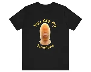 You Are My SunShine T-Shirt, LeBron James Meme Shirt, Funny Shirt, Unisex Fashion