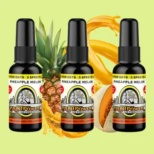 Pineapple Melon Air Freshener Bundle (3 Pack)