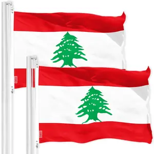 G128 2 Pack: Lebanon Lebanese Flag | 3x5 Ft | Printed 150D Polyester - Indoor/Outdoor, Vibrant Colors, Brass Grommets, Quality Polyester, Much Thicker More Durable Than 100D 75D Polyester