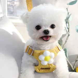 Heart-Shaped Dog Harness Leash, Small Dogs Teddy Bichon Chest Strap, Cute Sunflower Design Anti-Escape Breathable Walking Rope