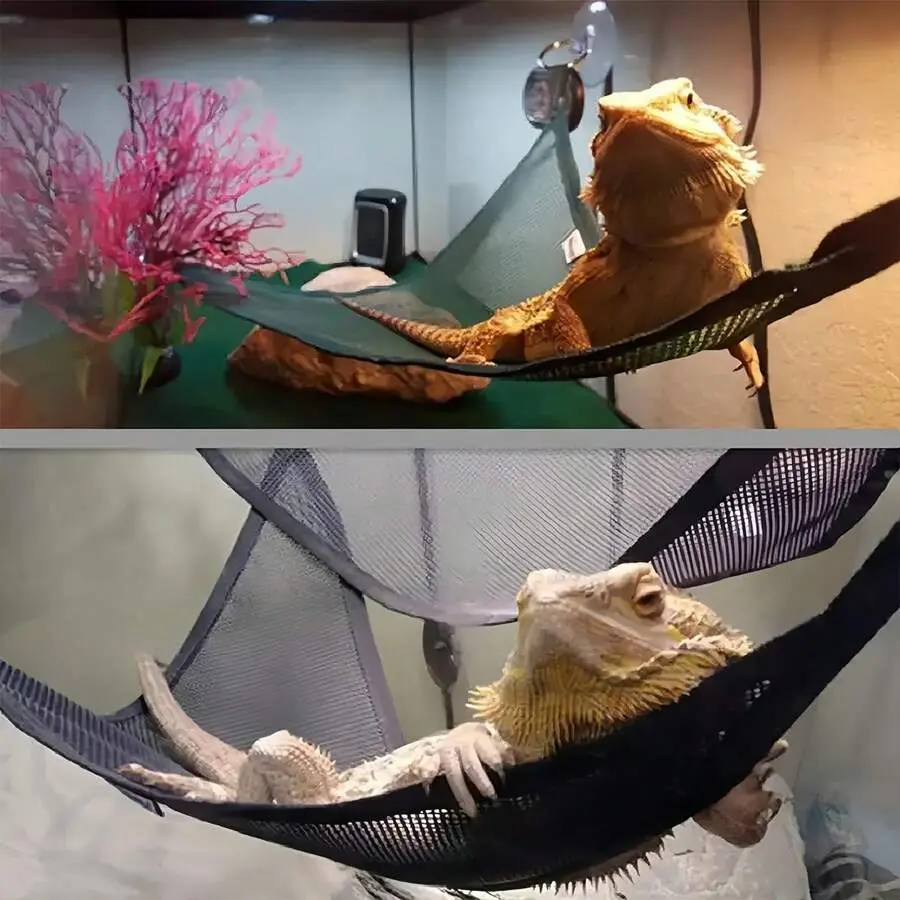 Triangular pet hammock, foldable mesh hammock for bearded dragons, with suction cups, soft, breathable and washable, suitable for small and large lizards, chameleons or reptiles