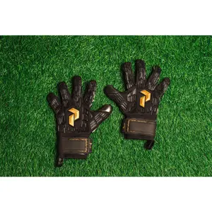 Peak Performance Apex