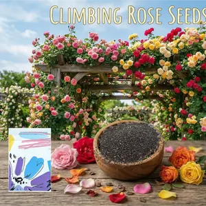 Mix 200 Flower Seed Rare Rose for Garden Planting Outdoor Easy Growing Create Colorful Flower Garden Open-Pollinated Perfect for Home Decor