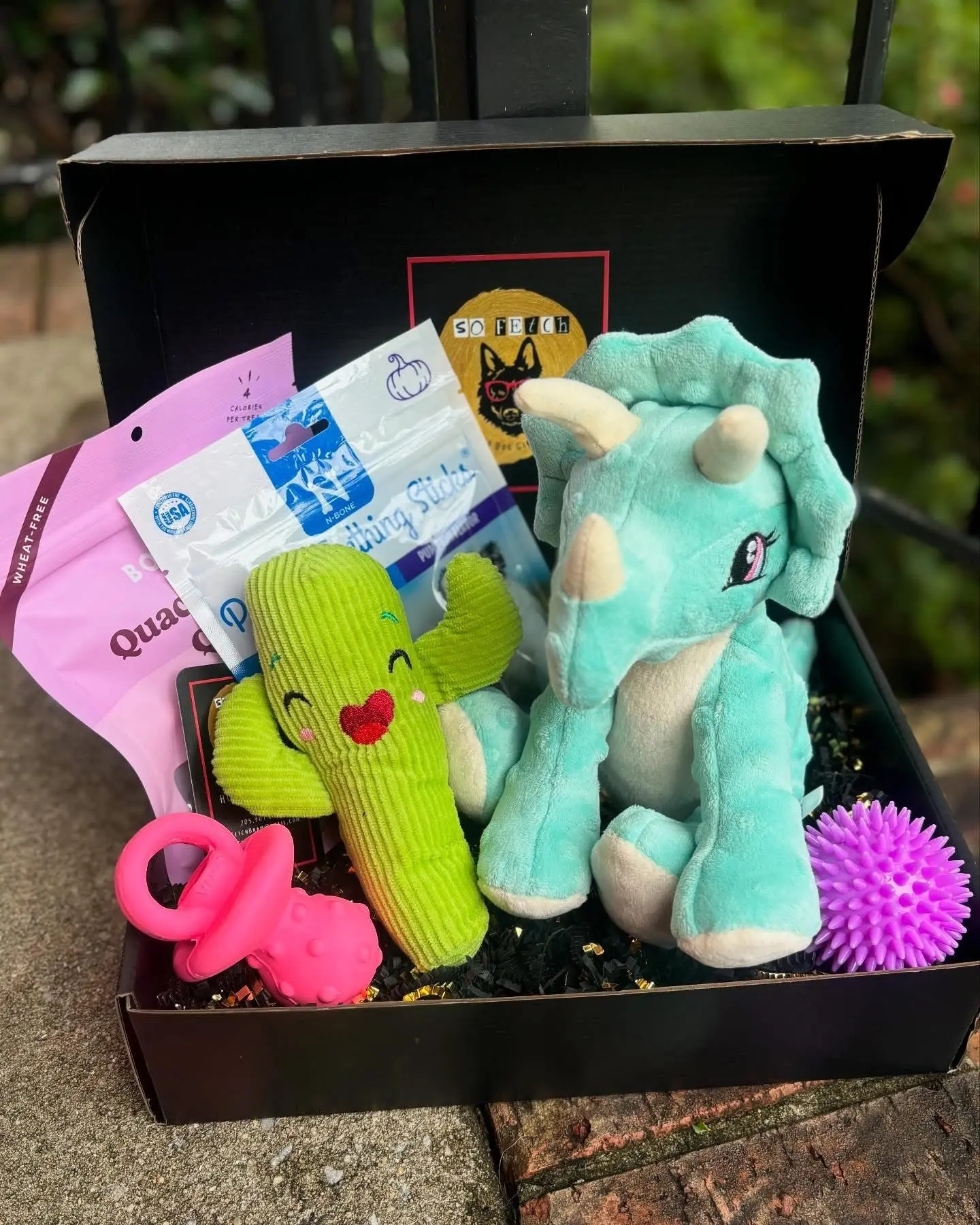 So Fetch Welcome Home Puppy Gift Box: Puppy Toys & Treats