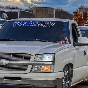 Pisale ALV windshield banner 36”