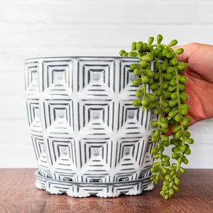 Pantheon Planter