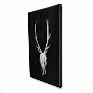 Begin Home Decor 2081-4824-AN129 24 x 48 in. Deer Skull Monochrome Canvas - Black Background Home Decor