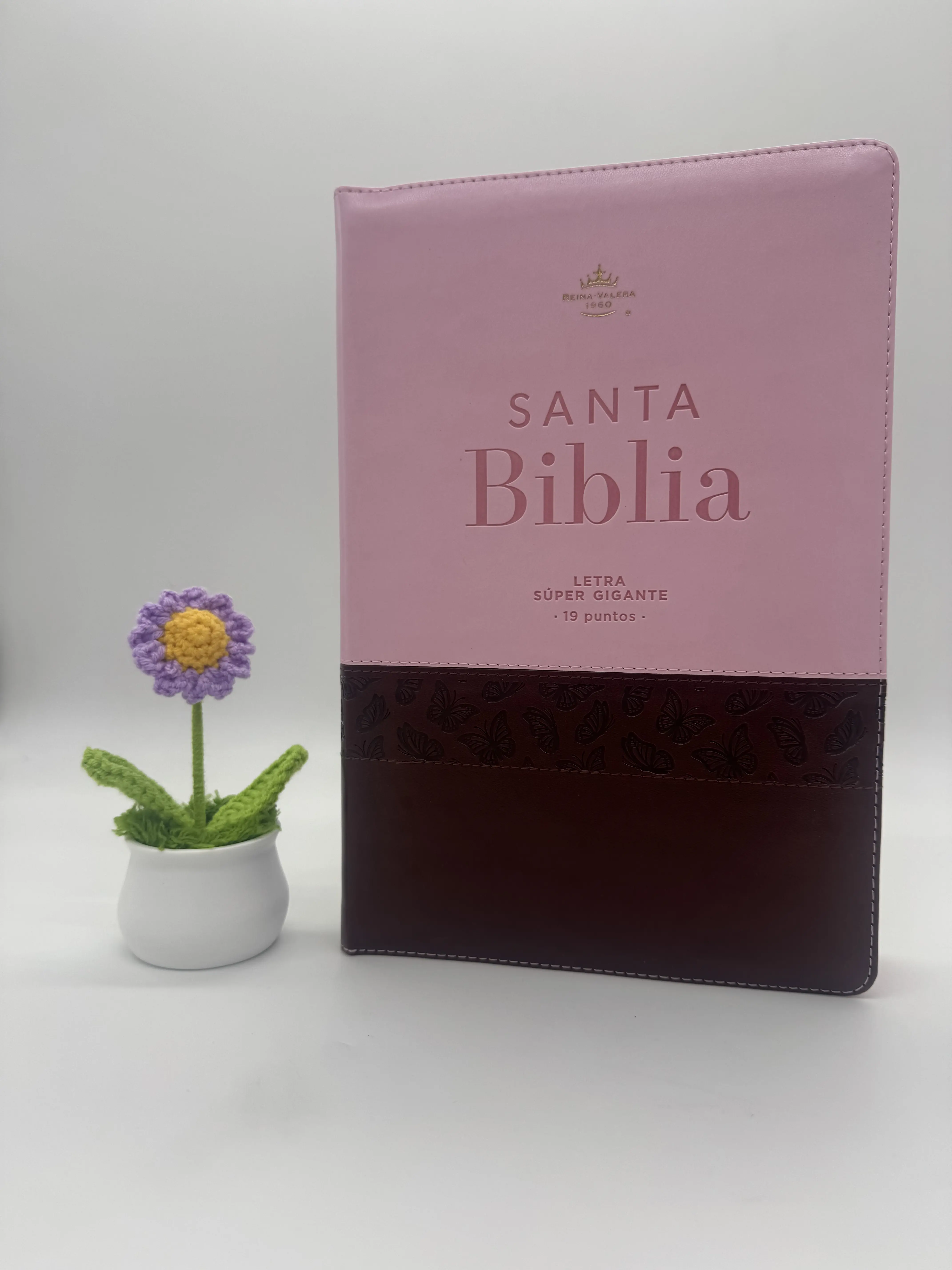 BIBLIA 19 PUNTOS REINA VALERA 1960