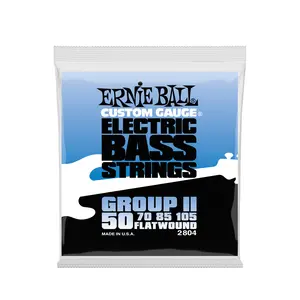 Ernie Ball Flatwound Group II Electric Bass Strings - 50-105 Gauge