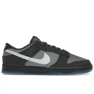 Nike Men's Dunk Low Anthracite, from StockX