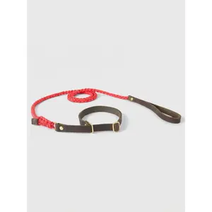 Touch of Leather Retriever Dog Leash - Lipstick