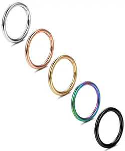 5 Pcs Surgical Steel Septum Rings Set,10 mm Nose Rings Hoop,Hinged Clicker Hoop Nose Rings for Women Men,Cartilage Hoop,Christmas Party Gifts,Hand Tools Kits