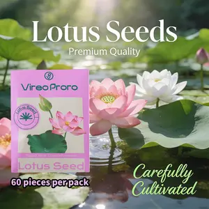 Grow Lotus Flowers at Home  | Easy & Beautiful Water Garden!”
