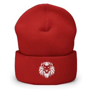 Phi Iota Alpha Beanies
