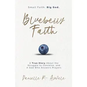 USED-Blueberry Faith: A True Story About the Struggle to Conceive, and A God Who Answers Prayers by Danielle R. Ayodele (Paperback)